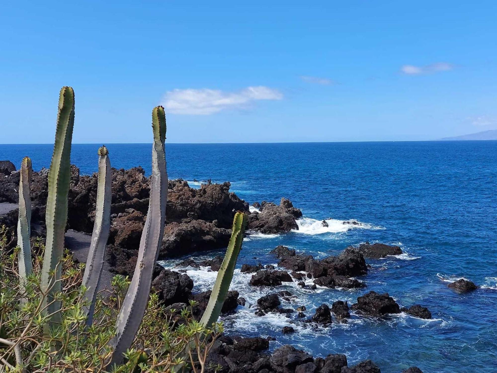 Appartamento Con 1 Camera Da Letto Con Vista Ov223 Costa Adeje  Eksteriør billede