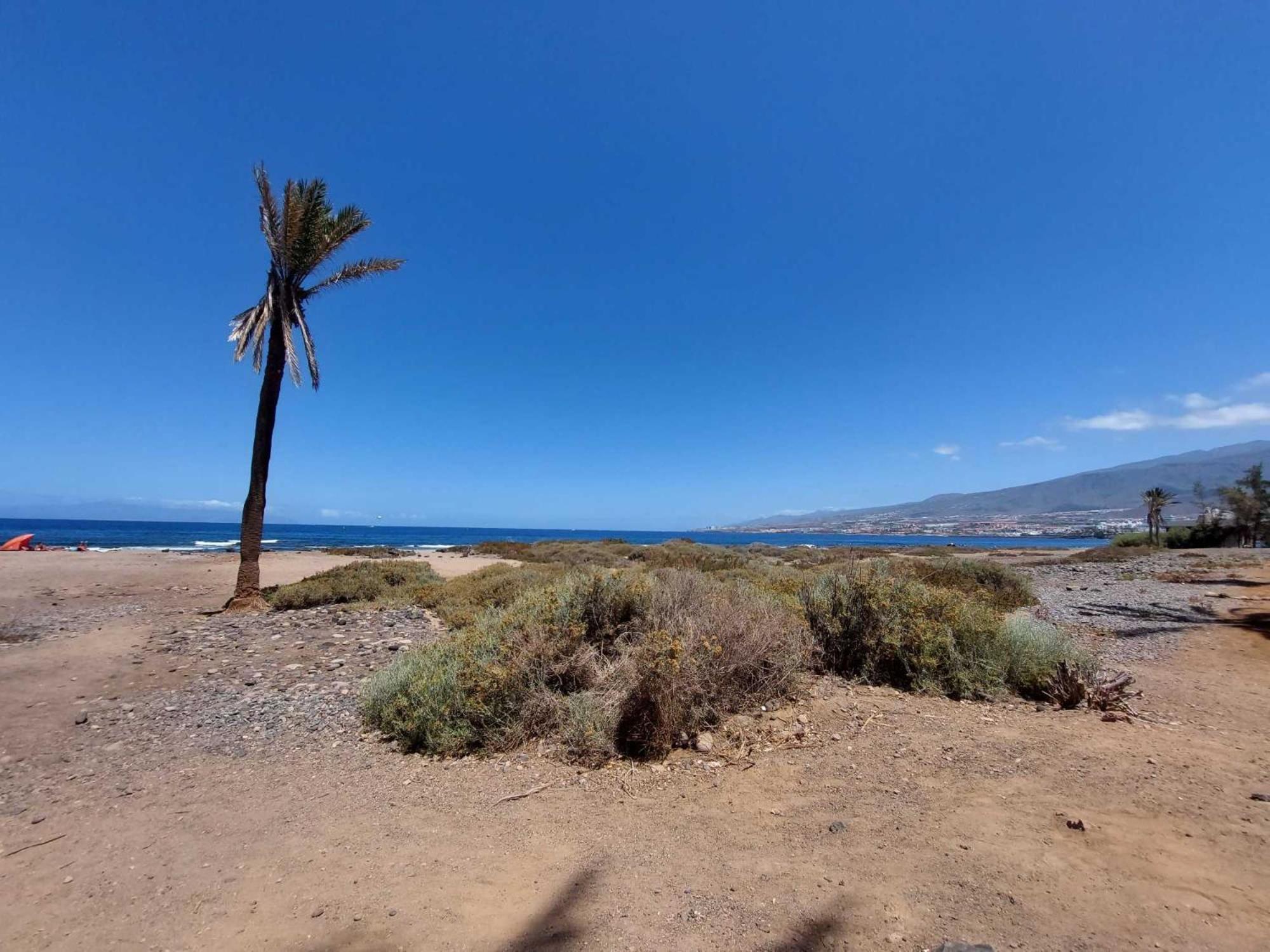 Appartamento Con 1 Camera Da Letto Con Vista Ov223 Costa Adeje  Eksteriør billede